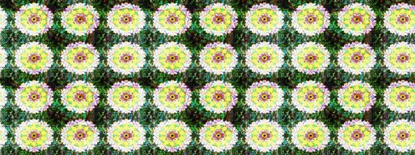 Düz Çiçek Elementleri Tasarımı. Eskiz klasiği. Raster Şirin kumaş deseni. Renkli Bahar Teması çizim şablonu.