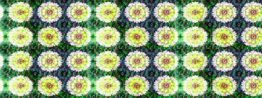 Bahar mevsimi. Tatil havası. Nazik romantik baskı. Raster güzel bir çiçek deseni çiziyor..