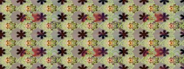 Tarafsız ve gri renklerde. Tarafsız ve gri renkli papatyalar deseni. Raster illüstrasyonu.