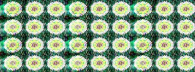 Colorful green and neutral sketch pattern. Perfect for textile, cover design. Doodle style. Hand drawn sketch autumn floral flower pattern. Flowers on green and neutral colors.