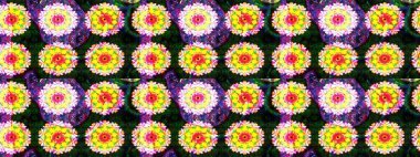 Flat Flower Elements Design. Flowers on yellow and gray colors. Sketch Floral Pattern in Raster illustration. Colour Summer Theme sketch pattern Background.