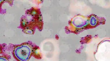 Renkli unsurlarla hareketli arka plan görüntüleri. Çiçekler. Eski model. Bayrak tarzı. Video kaydı. Şablon. Döngü. Kusursuz.. 