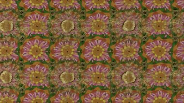 Renkli unsurlarla hareketli arka plan görüntüleri. Çiçekler. Eski model. Bayrak tarzı. Video kaydı. Şablon. Döngü. Kusursuz.. 