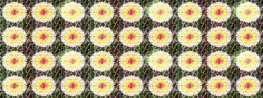 Vadinin çiçekleri tarafsız renklerde. Suluboya, elle çizilmiş. Eskiz arkaplan modeli. Raster - stok.