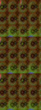 Raster düz çiçek çizim deseni. Hediye ambalaj kağıdı, tebrik kartları, posterler ve pankart tasarımı. Renkli çiçekler.