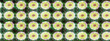 Düz Çiçek Elementleri Tasarımı. Eskiz klasiği. Raster Şirin kumaş deseni. Renkli Bahar Teması çizim şablonu.