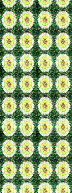 Eskiz Vintage Çiçek Deseni. Raster Kalça dokusu deseni.