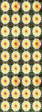 Raster illüstrasyonu. Chichi 'nin kumaş kalıbını çiz. Düz Çiçek Elementleri Tasarımı. Renkli Bahar Teması eskiz kalıbı. Çiçek deseni.