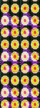 Raster illüstrasyonu. Eskiz arkaplan modeli. Sarı yapraklı yabani çiçekler. Suluboya, elle çizilmiş.