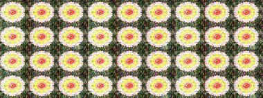 Eskiz arkaplan modeli. Yapraklı çiçekler ve doğal ve yeşil renklerde papatya çiçekleri. Raster - stok.