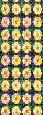 Çizim çiçek deseni duvar kâğıdı olarak kullanılabilir. Yeşil renkli çiçekler. Raster illüstrasyonu.