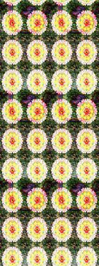 Raster çiçekleri klasik tarzda çizilmiş. Raster illüstrasyonu. Yeşil ve sarı renklerde bahar çiçekleri. Çiçekli yumuşak çizim deseni.