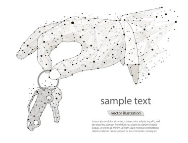 el araba keys.abstract tasarım, logo düşük poli tel kafes beyaz zemin üzerine gelen izole vererek. Vektör soyut poligonal görüntü mash çizgi ve nokta. Dijital grafik illüstrasyon