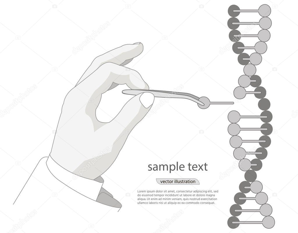 Manual genetic engineering. Manipulation of DNA double helix with with bare hands, tweezers. vector on a white background. For Poster, Cover, Label, Sticker, Business Card