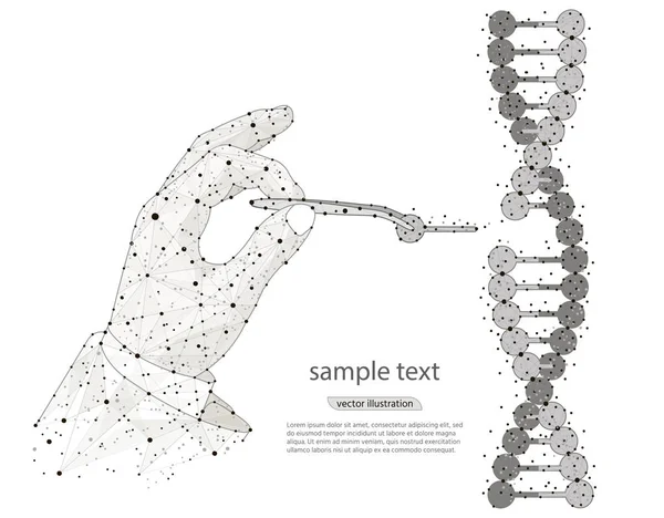 Soyut Tasarım el ile genetik mühendisliği. Çıplak elleriyle, cımbız ile Dna çift sarmalı manipülasyon. Beyaz arka plan üzerinde düşük poli tel kafes üzerinden izole. Vektör soyut poligonal görüntü mash