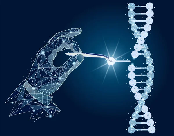 Abstrakt design. Manipulation af DNA dobbelt helix med bare hænder, pincet. isoleret fra lav poly wireframe på hvid baggrund. abstrakt polygonalt billede mash linje og punkt . - Stock-foto