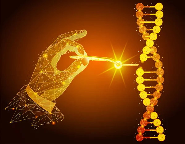 Baixo poli ilustração da manipulação de DNA dupla hélice com as mãos nuas, pinças —  Vetores de Stock