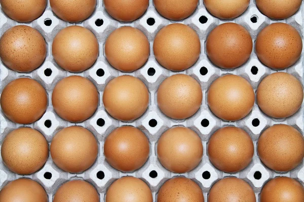 kutuda bütün yumurta. Sofrada tavuk yumurtası tarzı loft Çıplak harç çimento.