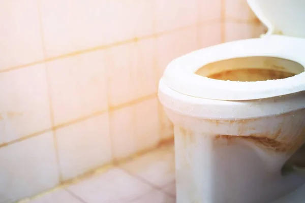 Onrein Vies Oud Toilet Bowl Badkamer Een Verzameling Van Ziektekiemen — Stockfoto