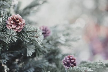 Eski moda hippi tarzında köknar ormanı olan puslu bir manzara.