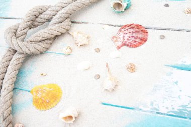 Mavi ahşap arka planda deniz yıldızları ve deniz kabukları ile yaz zamanı kavramı