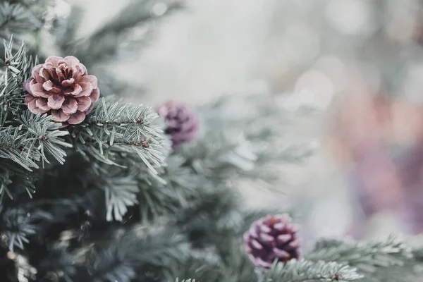 Eski moda hippi tarzında köknar ormanı olan puslu bir manzara.