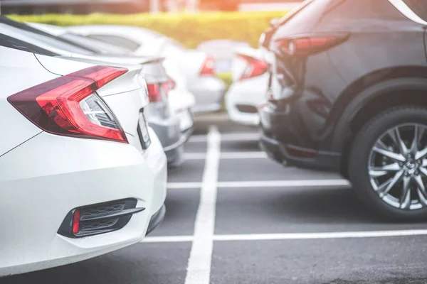 Parking Dużym Parkingu Asfaltowym Drzewami — Zdjęcie stockowe