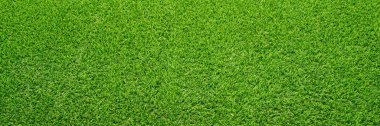 Yeşil çimen dokusu arka plan Parlak çimen bahçesi fikirlerinin üst görünümü 