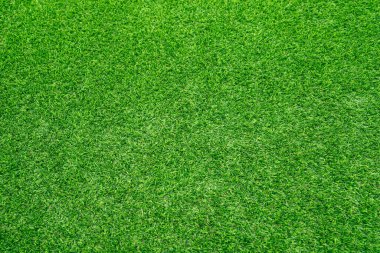 Yeşil çimen dokusu arka plan Parlak çimen bahçesi fikirlerinin üst görünümü 