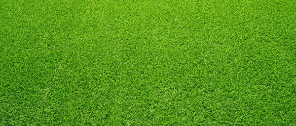 Green Grass Texture Background Vue Dessus Jardin Herbe Lumineuse Concept — Photo