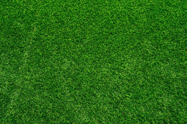 Green Grass Texture Background Top View Bright Grass Garden Idea — Stock Photo, Image