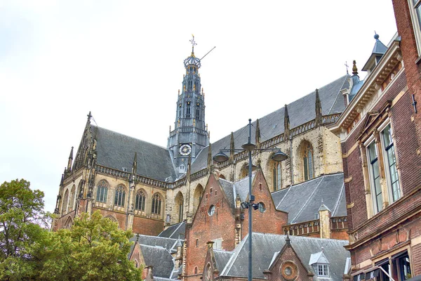 Haarlem Nederländerna Juli 2018 Katedralen Saint Bavo Och Historiska Hus — Stockfoto