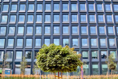 Wroclaw, Polonya - 28 Temmuz 2018: Yeşil 2 gün Wroclaw (2017 yılında inşa edilmiş) ofisleri. Mimarlar: Mackow Pracownia Projektowa, Wroclaw, Polonya.