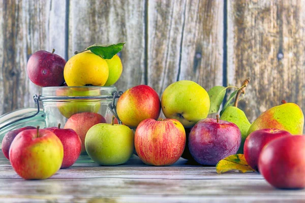 Fresh, real apples from organic farming, ecological harvest on wood background.