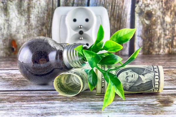 Один Долар Банкноти Рослини Ростуть Всередині Лампочки Концепція Екологічної Енергетики — стокове фото