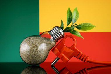 Tak, ampul ve Benin bayrağı içinde büyüyen bitki. Yeşil eko yenilenebilir enerji kavramı.