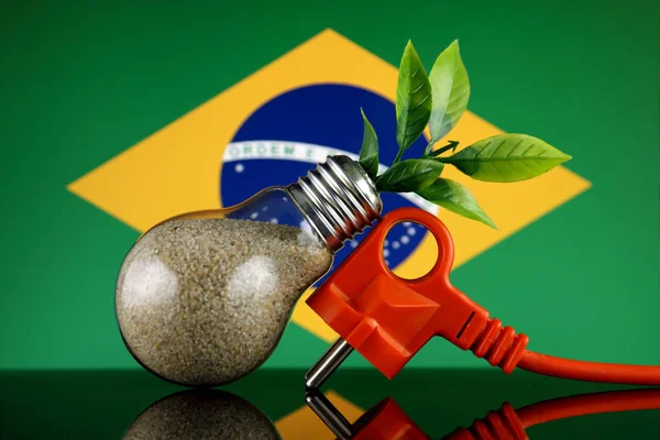 Plug Planta Crescendo Dentro Lâmpada Bandeira Brasil Conceito Verde Energia — Fotografia de Stock