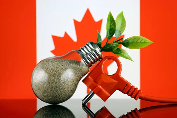 Stekker Plant Groeien Gloeilamp Vlag Van Canada Groene Eco Hernieuwbare — Stockfoto