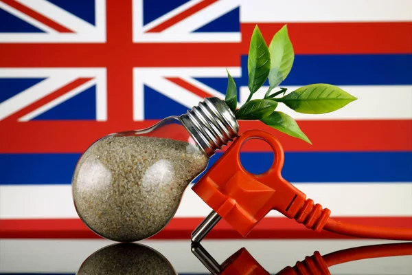 プラグ 電球とハワイの旗の中に育つ植物 緑のエコ再生可能エネルギー概念 — ストック写真