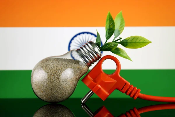 Stekker Plant Groeien Gloeilamp Vlag Van India Groene Eco Hernieuwbare — Stockfoto