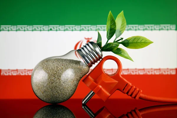 Stecker Pflanze Die Innerhalb Der Glühbirne Und Iranischen Flagge Wächst — Stockfoto