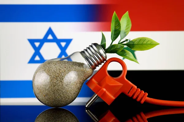 Zástrčka Rostlina Roste Uvnitř Žárovky Izrael Sýrie Vlajky Zelená Eco — Stock fotografie
