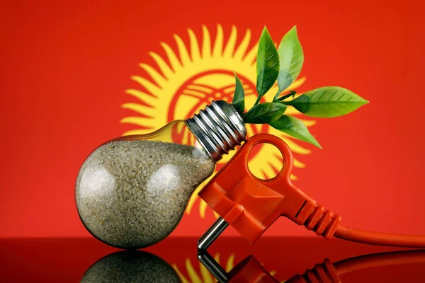 Podłącz Roślin Uprawy Wewnątrz Żarówki Flaga Kirgistanu Pojęcie Energii Odnawialnej — Zdjęcie stockowe