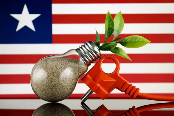 Plug Planta Que Crece Dentro Bombilla Bandera Liberia Concepto Ecológico — Foto de Stock