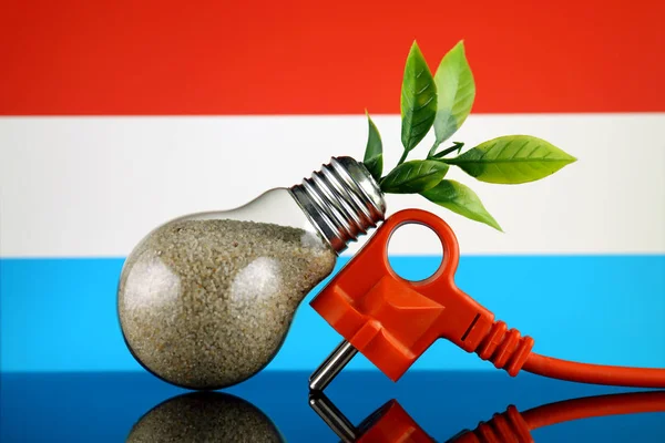 プラグ 電球とルクセンブルクの国旗の中に育つ植物 緑のエコ再生可能エネルギー概念 — ストック写真