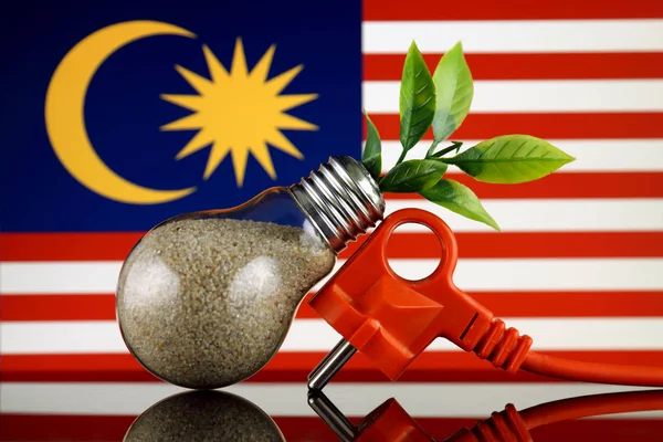 プラグ 電球とマレーシアの国旗の中に育つ植物 緑のエコ再生可能エネルギー概念 — ストック写真