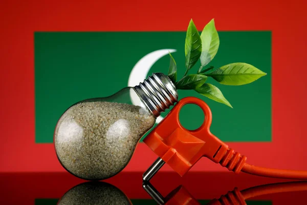 Podłącz Roślin Uprawy Wewnątrz Żarówki Flaga Malediwów Pojęcie Energii Odnawialnej — Zdjęcie stockowe