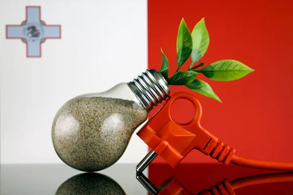 プラグ 電球とマルタの旗の中に育つ植物 緑のエコ再生可能エネルギー概念 — ストック写真