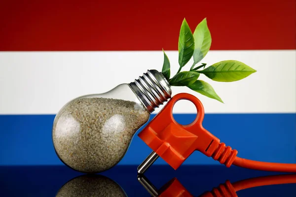 Plug Planta Que Crece Dentro Bombilla Bandera Holanda Concepto Ecológico —  Fotos de Stock