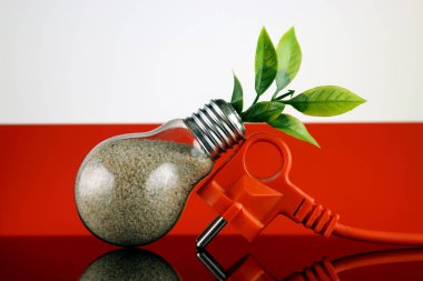 Tak, ampul ve Polonya bayrak içinde büyüyen bitki. Yeşil eko yenilenebilir enerji kavramı.